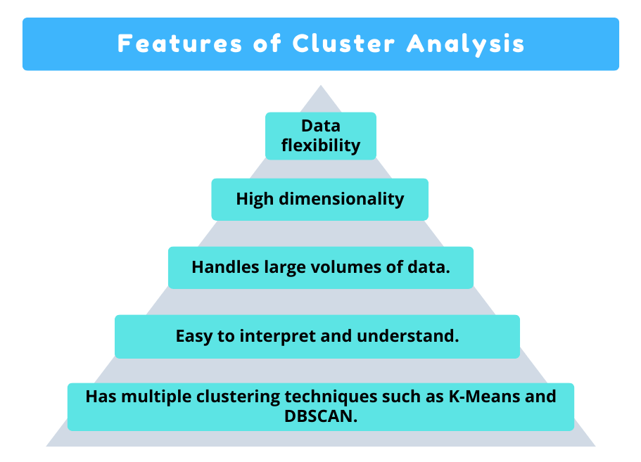Features of Cluster Analysis